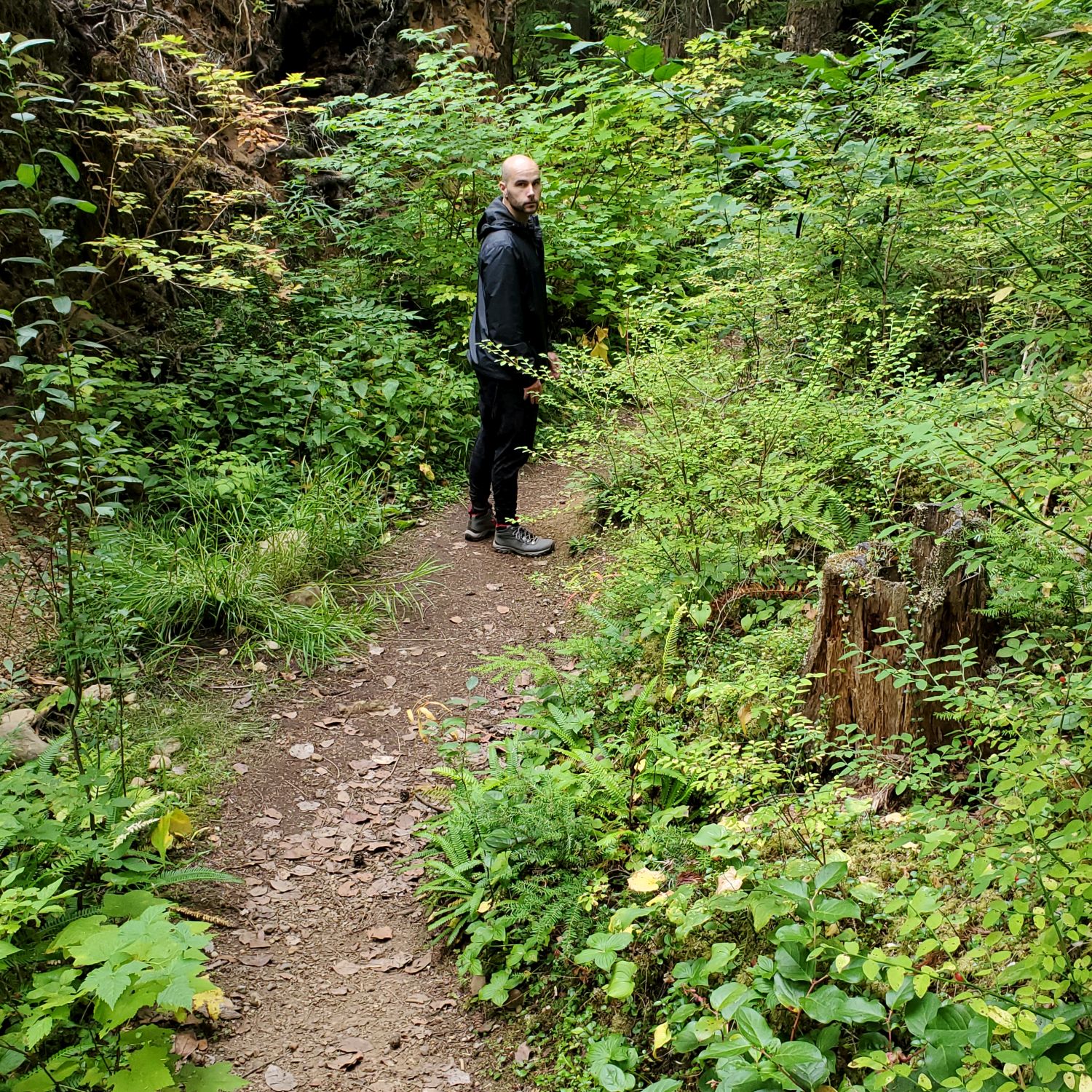 Olympic NP 